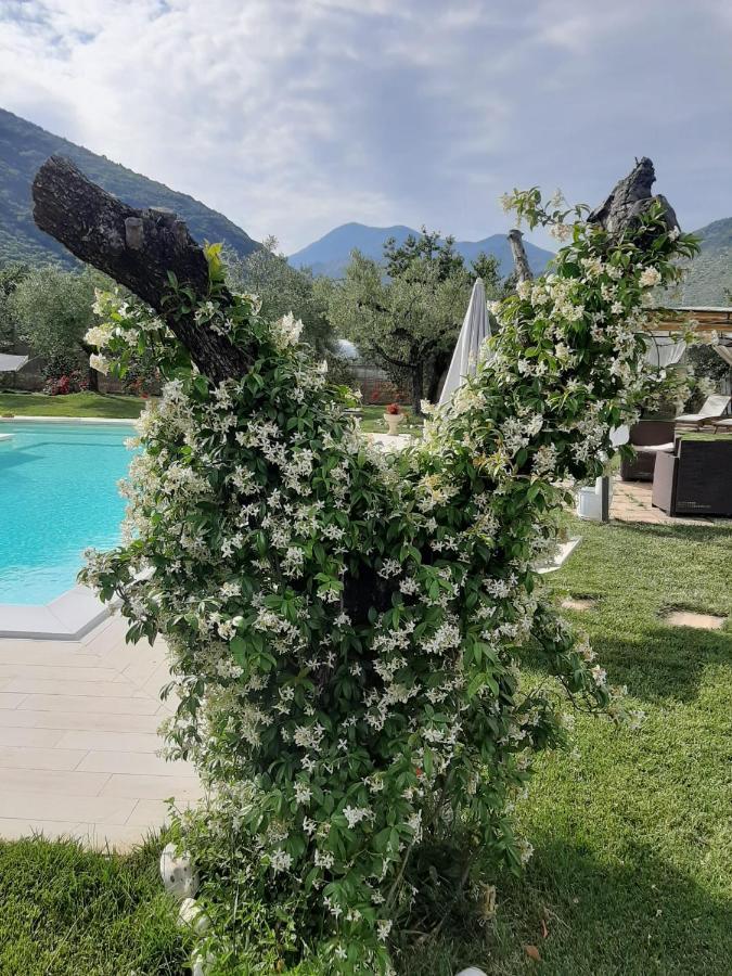 Alloggio Turistico L'Ulivo Monte San Biagio Zewnętrze zdjęcie
